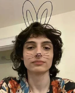 🐇