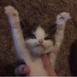 😌