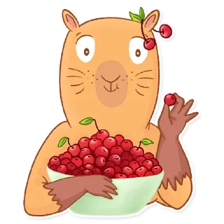 🍒
