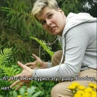 🌿