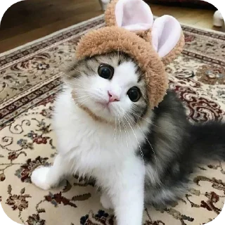 🥰