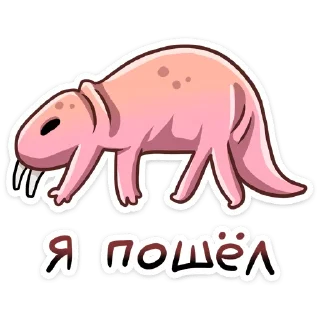 👋