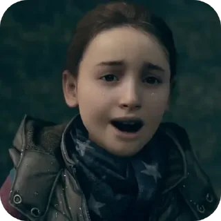 🦊