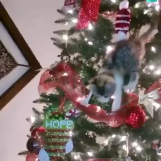 😟