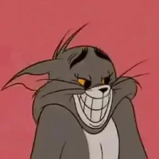 😸