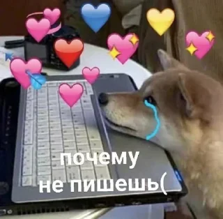 😭