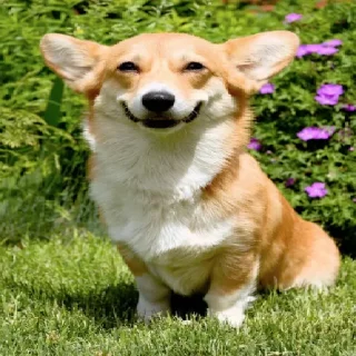 😊