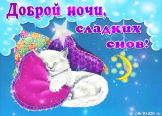 😴