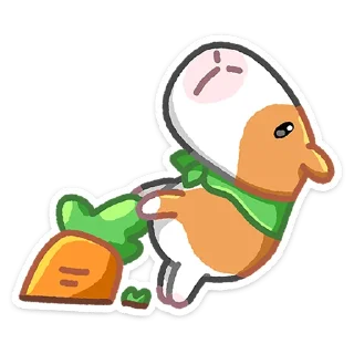 🥕