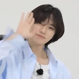 🐻