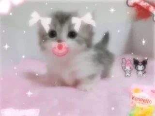 🍼