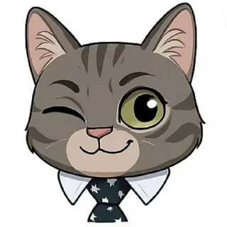 🐱