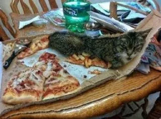 🍕