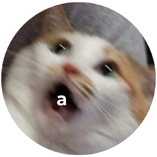 😱