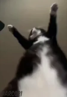 🕺