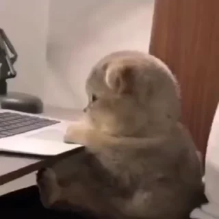 💕