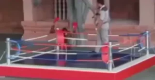 🥊