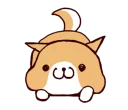 🐶