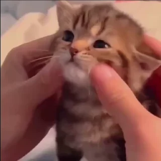 ☺️