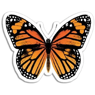 🦋