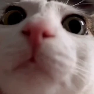 👀