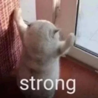 💪