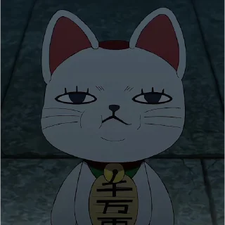 🐱