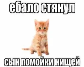 😠