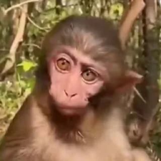 🤨