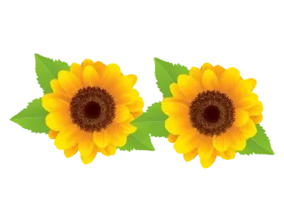 🌼