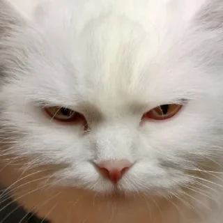 😁
