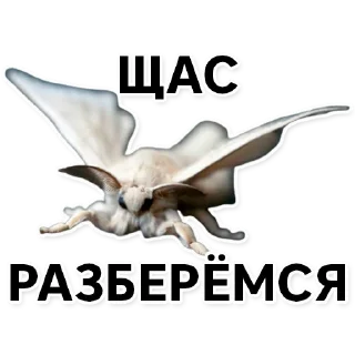 😎