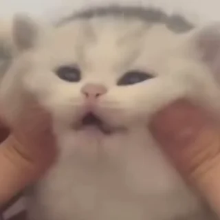 😍