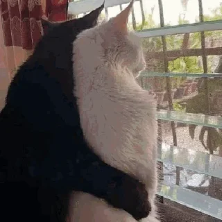 👩‍❤️‍👨
