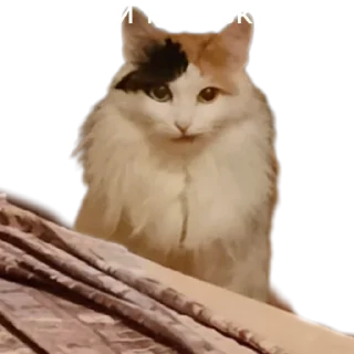 😕