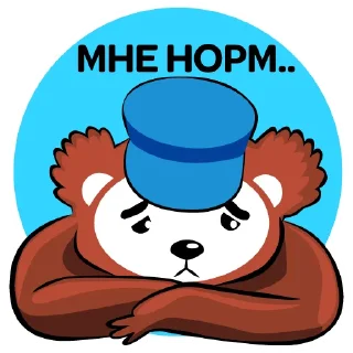 🐻