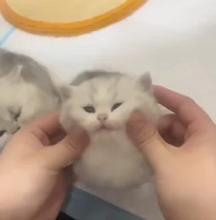 ☺️