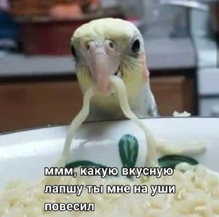 🍜