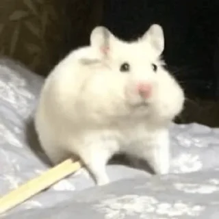 🥢