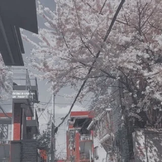 💕
