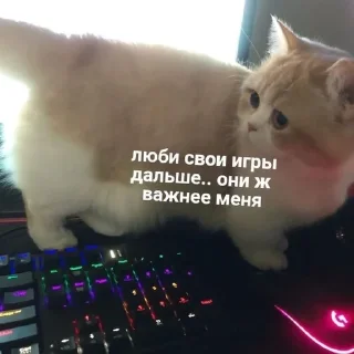 🤍
