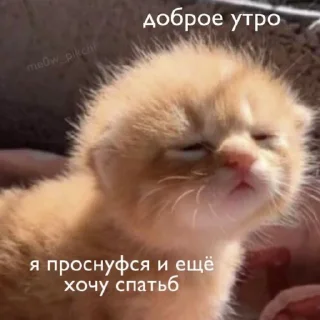 ☀️