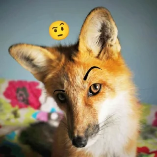 🤨