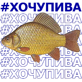 🐠