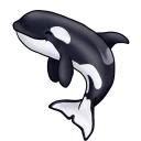 Orcas by AraynaHG