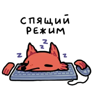 😴