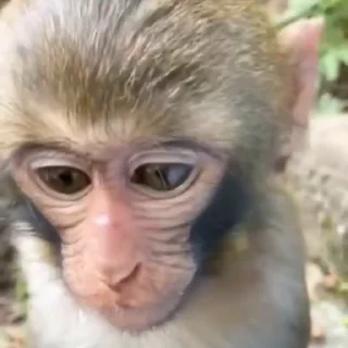 🤩