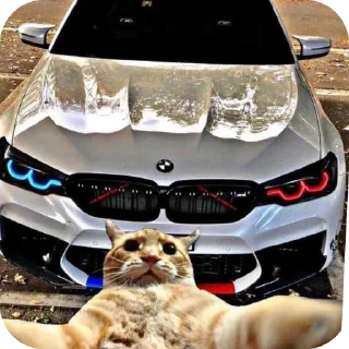 🚗