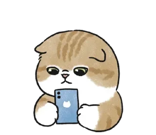 📱