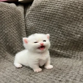 😫
